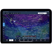 Планшет Apple iPad mini 2021 256GB 5G MK8H3 (сияющая звезда)- фото5