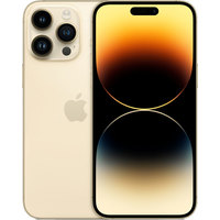 Телефон Apple iPhone 14 Pro Max Dual SIM 1TB (золотистый)- фото