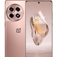 Телефон OnePlus Ace 3 16GB/1TB китайская версия (бронзовый)