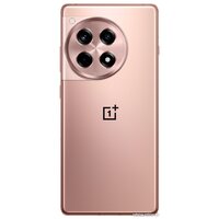 Телефон OnePlus Ace 3 16GB/512GB китайская версия (бронзовый)- фото2