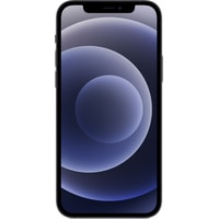 Телефон Apple iPhone 12 Dual SIM 256GB (черный)- фото2