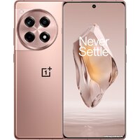 Телефон OnePlus Ace 3 16GB/512GB китайская версия (бронзовый)- фото