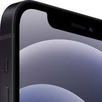 Телефон Apple iPhone 12 Dual SIM 256GB (черный)- фото5