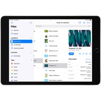 Планшет Apple iPad 10.2