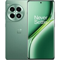 Телефон OnePlus Ace 3 Pro 24GB/1TB китайская версия (зеленый лес)