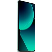 Телефон Xiaomi 13T 12GB/256GB международная версия (зеленый луг)- фото3