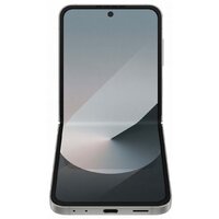 Телефон Samsung Galaxy Z Flip6 SM-F741B 12GB/256GB (серый) и наушники Galaxy Buds3 Pro (серебристый) по акции- фото4