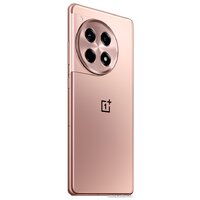 Телефон OnePlus Ace 3 16GB/512GB китайская версия (бронзовый)- фото4