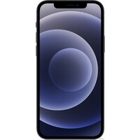 Телефон Apple iPhone 12 Dual SIM 256GB (черный)- фото2