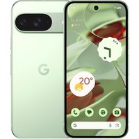 Телефон Google Pixel 9 12GB/256GB (винтергрин)