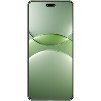 Телефон Huawei nova 13 Pro MIS-LX9 12GB/256GB (дымчатый зеленый)- фото2